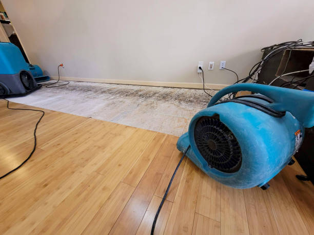 Professional Emergency Water Damage technician working in Canton, TX